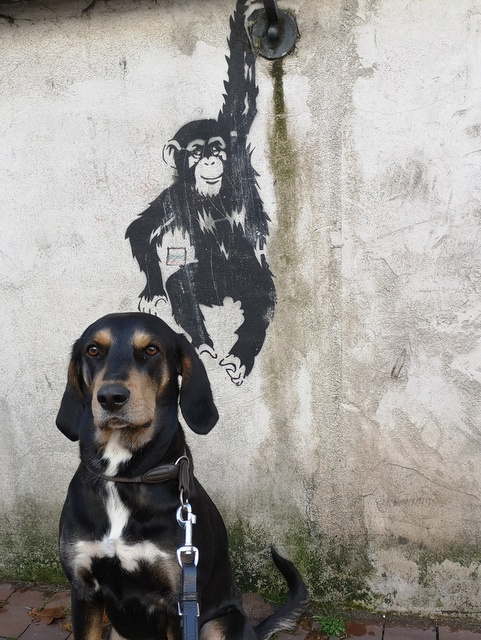 1 IMG 20181119 151059 469