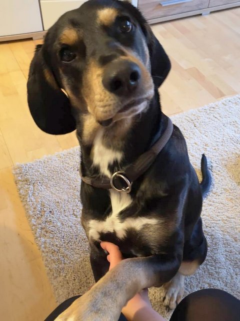 1 IMG 20181202 115513 287 001