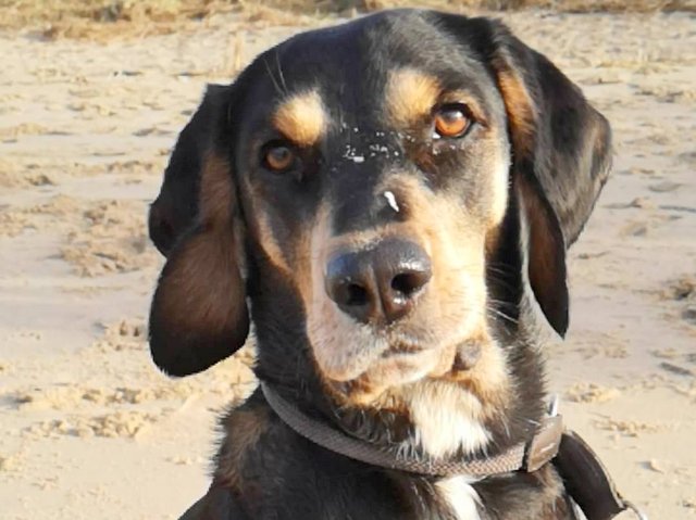 1 IMG 20181230 134705 668