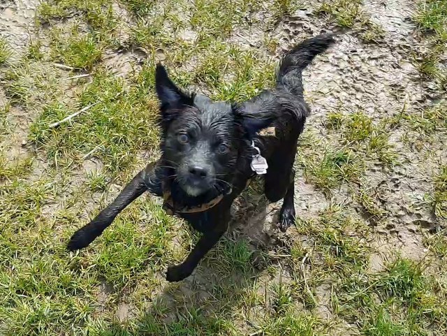 1 20180527 101944 capture0