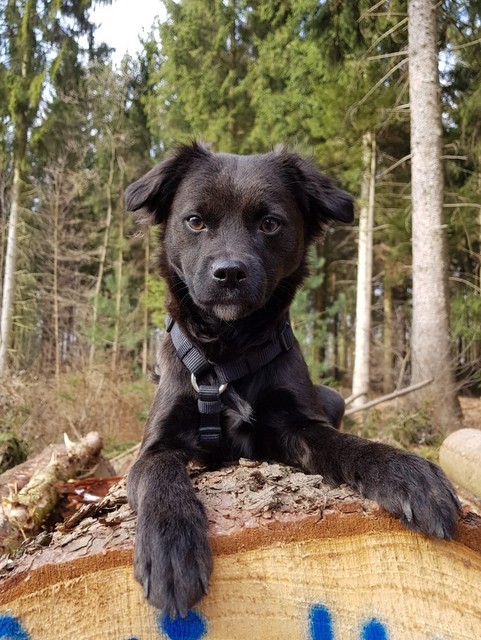 1 IMG 20180318 WA0004