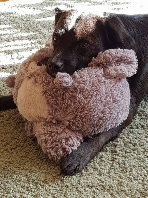 1 IMG 20181015 WA0005