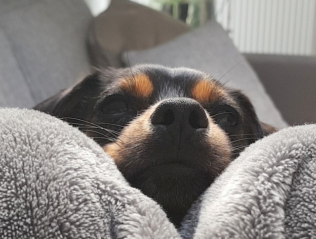 1 IMG 20181031 140734 309