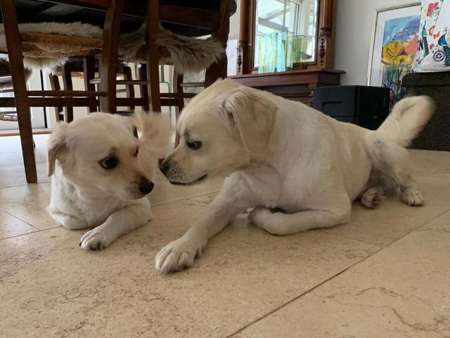 1 IMG 20181129 WA0018