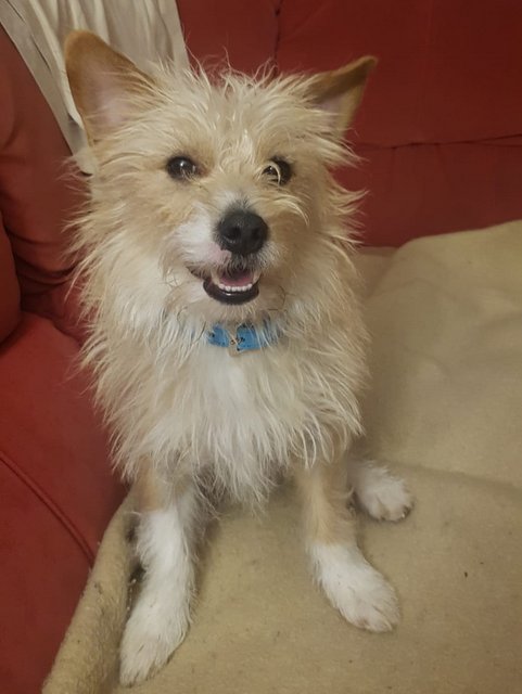 1 IMG 20190214 WA0005