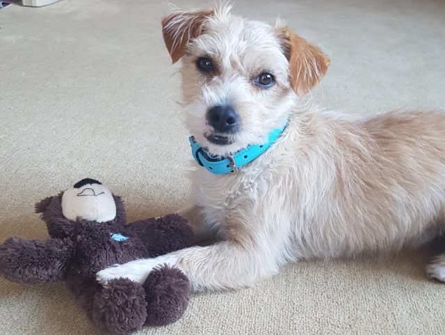 1 IMG 20190324 WA0019