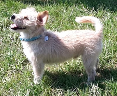 1 IMG 20190420 WA0032