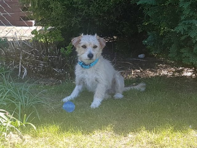 1 IMG 20190421 WA0014