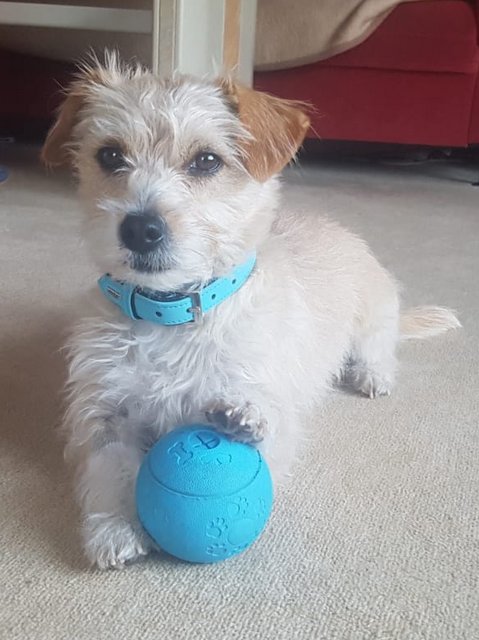 1 IMG 20190422 WA0011