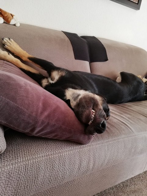 1 IMG 20191003 WA0004