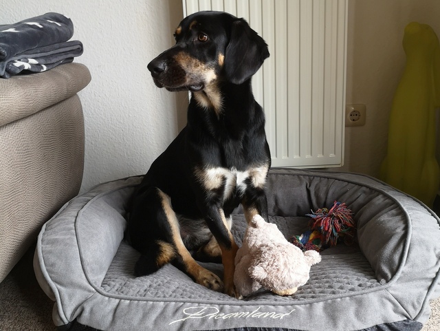 1 IMG 20190926 164358