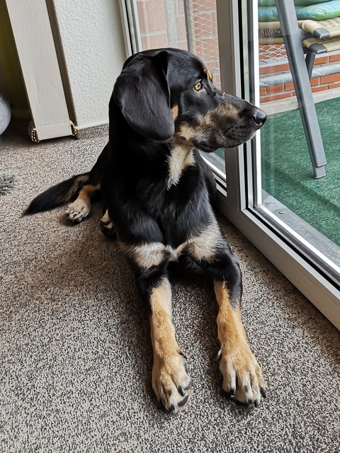 1 IMG 20190926 170118