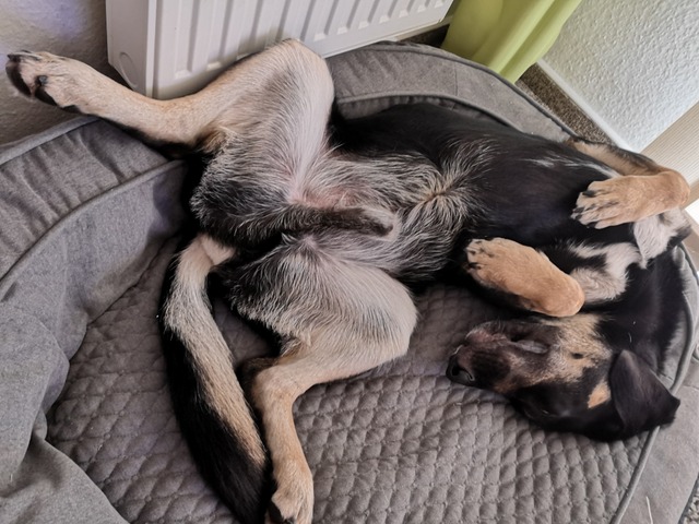 1 IMG 20190929 114158