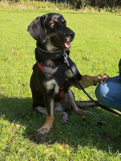 1 IMG 20191002 112406 001