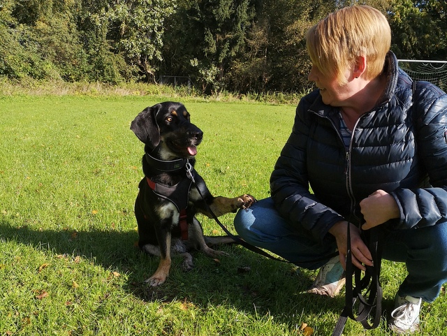 1 IMG 20191002 112406