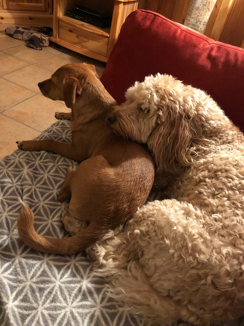 1 cid 041AB80A C4EC 4B62 8571 6F5BA619B082home