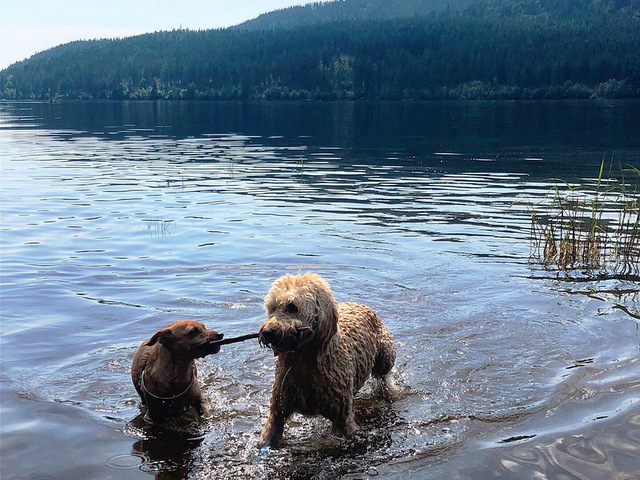 1 cid B0B149D7 6277 4362 8D7F 6432EC012F7Dhome