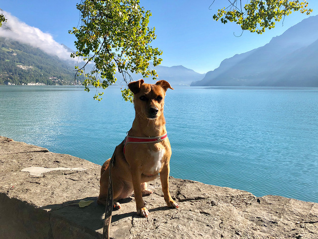 1 cid B9BEE4E6 622F 438F 9F7A FB43017C7957home