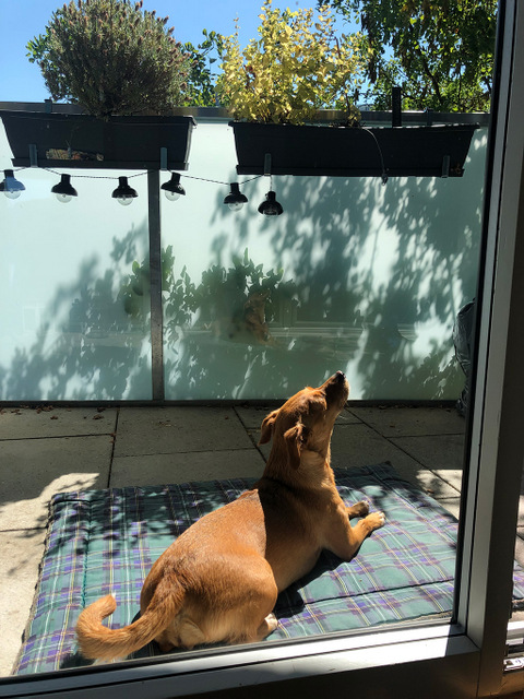 1 cid EA6586C4 CB44 4D8C 81DD AF94D24007C5home