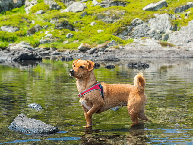 1 cid F7B7BAF4 4709 473E 8B64 2A9266332F22home