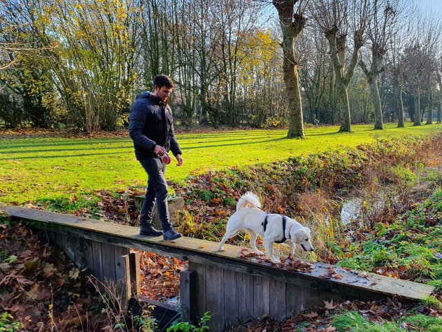 1 323ab8fb 6de6 4688 9f45 845fa182ddc8