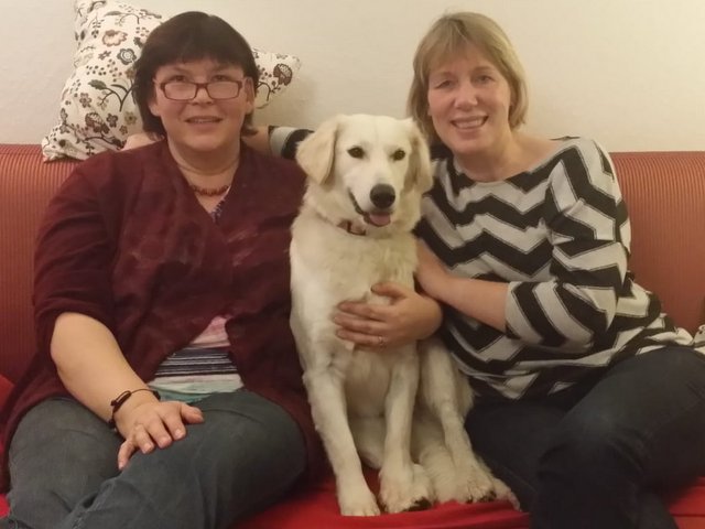 1 40481c8f cd62 49f0 8f57 c733d78f6fdc