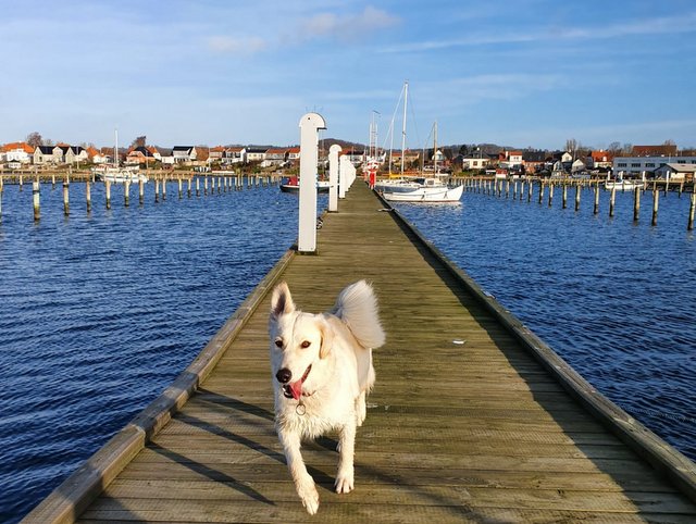 1 41e533d8 b9e4 4a44 9988 5a1a6358e221