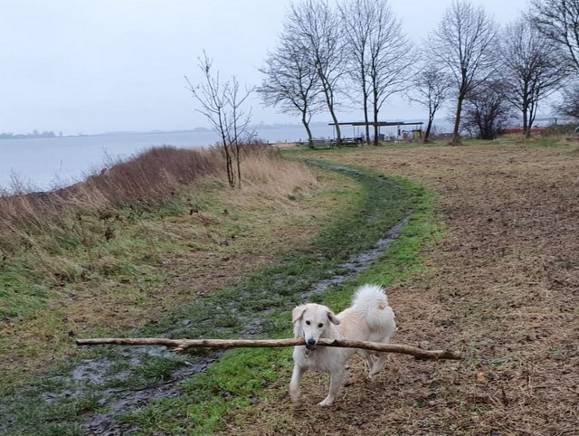 1 71f17dd3 9914 4da9 a5e5 fad8786b9d0e