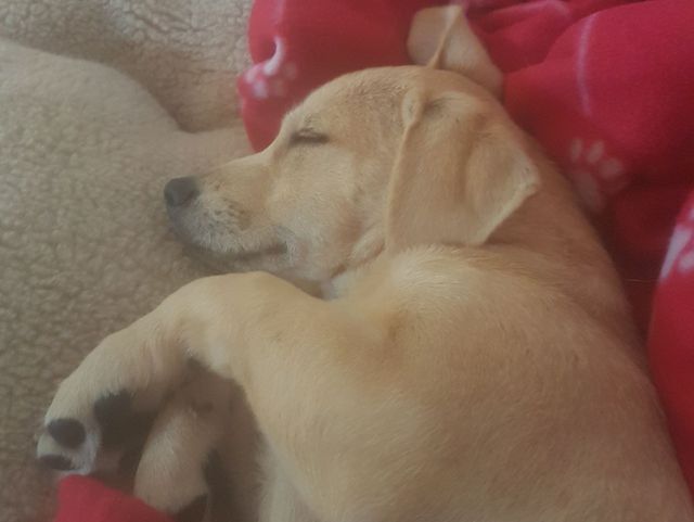 1 20819383 1805177562833336 1638880184076504181 o