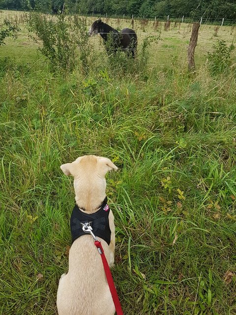 1 21557639 1839539729397119 2811491852891533366 n