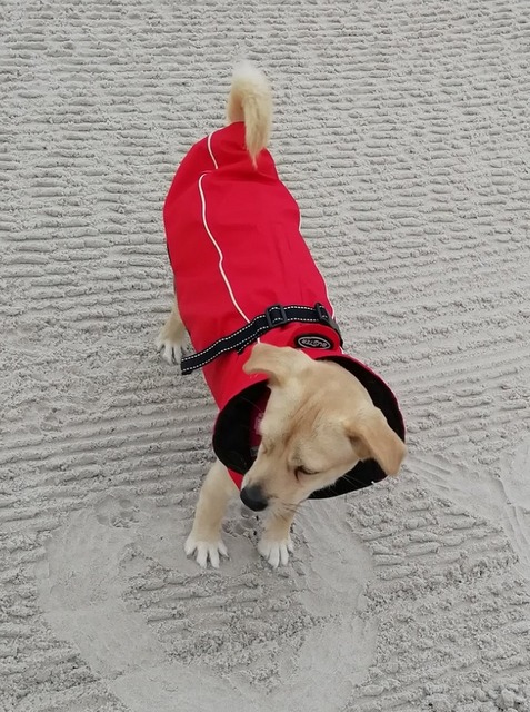 1 86392762 3746202328730840 7472197296273227776 o 001