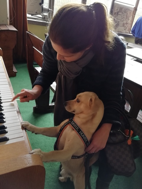 1 IMG 20191016 170525 1