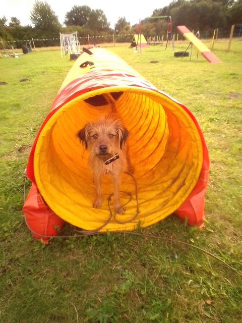 1 IMG 20200911 150911