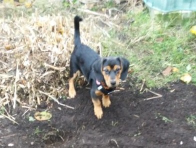 1 cid image021 jpg01D5ADE9