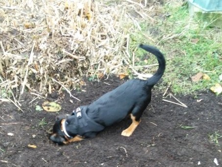 1 cid image023 jpg01D5ADE9