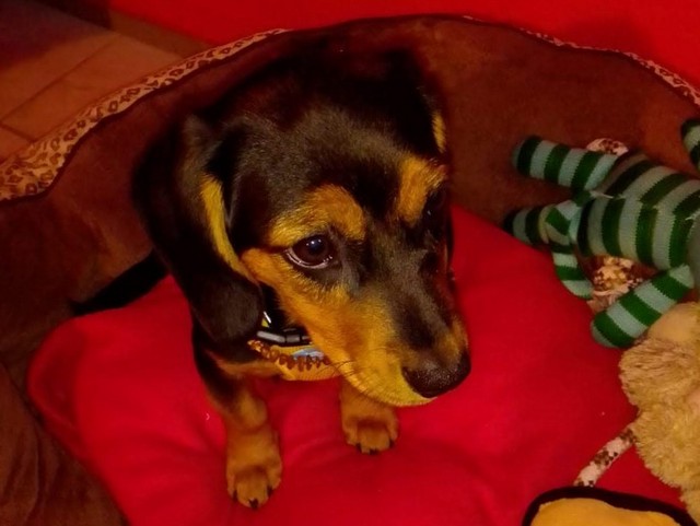 1 cid image027 jpg01D5ADE9