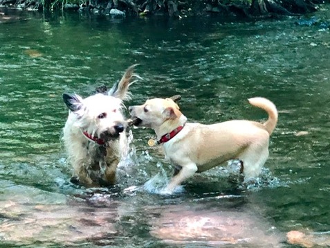 1 cid 06CA6F2C 2733 4BD8 8502 B5D7C48AE129