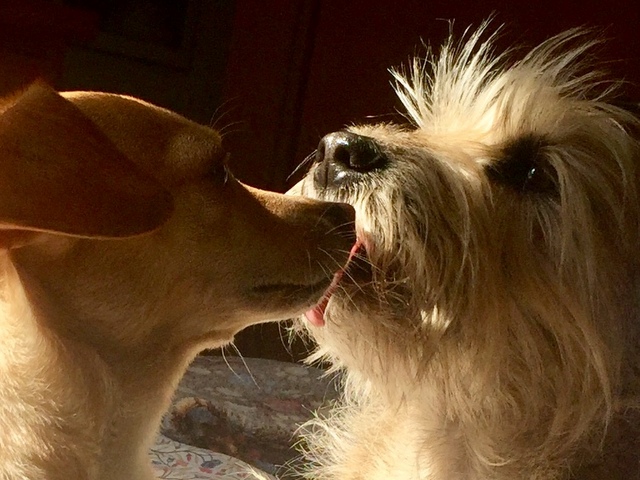 1 cid 2937562C 5573 4087 BBF4 E34B0EAB53AB