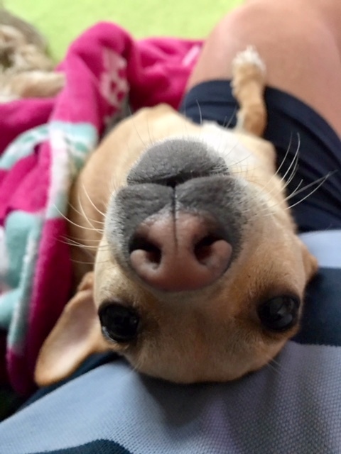 1 cid D86EE33C 6966 4518 8EA9 4B6AD0A2A114