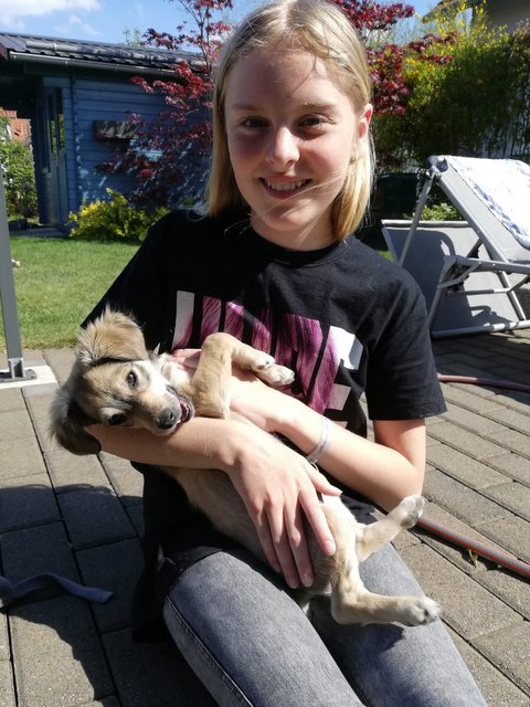 1 IMG 20200510 WA0005