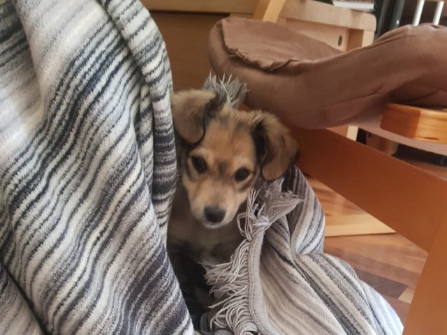 1 IMG 20200510 WA0017