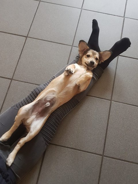 1 IMG 20200623 WA0008