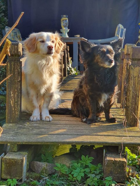 1 IMG 20200326 WA0005