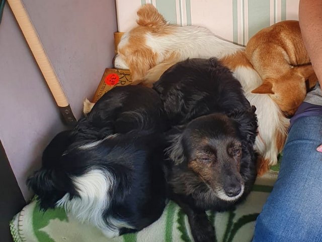 1 IMG 20200412 WA0022