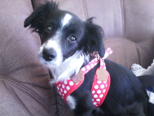 1 IMG 20180421 1302331