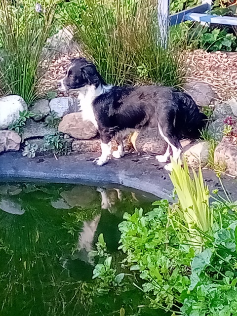 1 IMG 20200509 191817 001