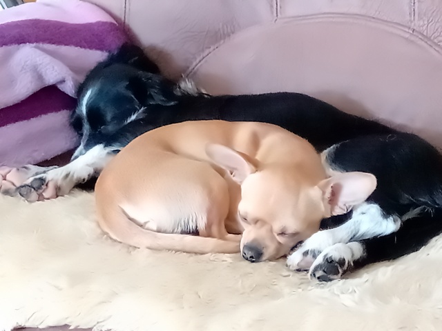 1 IMG 20200519 1300571