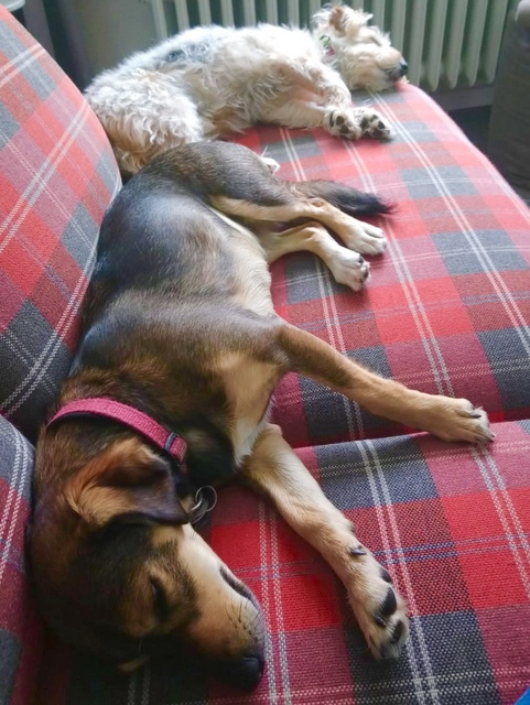 1 a266538f 0bde 4e53 abb0 6cbf7e717ea5