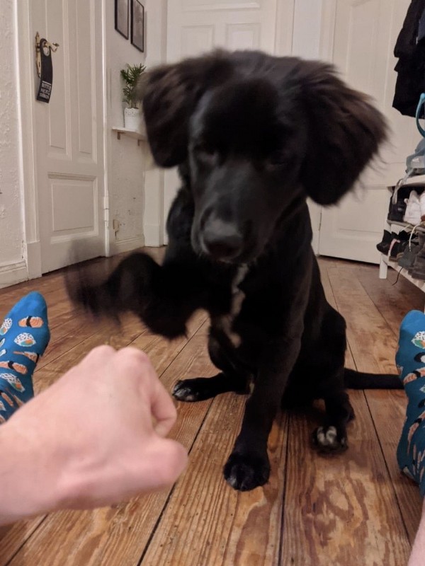 1 cid 173e7fd625fd485e6e8a