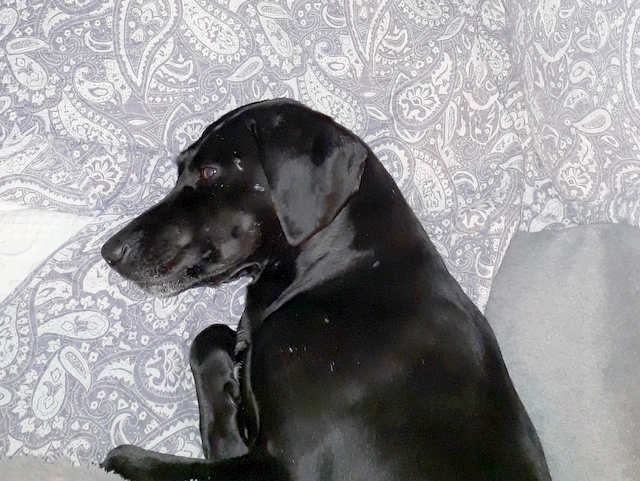 1 20200502 233258 001